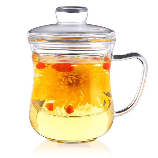 CNGLASS Glass Tea Cup with Removable Infuser and Lid,10oz Thickened Glass Infuser Mug,Borosilicate Glass Mug for Loose Leaf Tea,Teabags