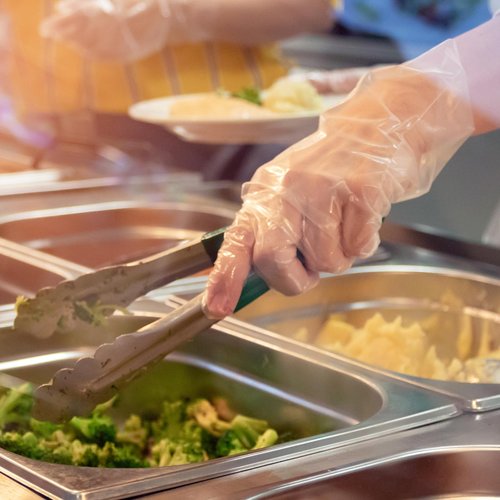 ForPro Disposable Poly Gloves, Food Grade, BPA-Free, Latex-Free, Powder-Free, Lightweight Plastic Gloves for Cooking, Food Prep, Food Service, One Size Fits Most, Clear, 500-Count