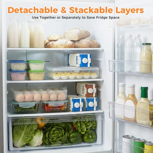 HANSGO Deviled Egg Containers with Lid, 2-Layer Plastic Detachable Deviled Egg Carrier for 48 Eggs, Clear Storage Tray for Refrigerator, Kitchen, Party, Travel, Family Gatherings, Easy to Transport