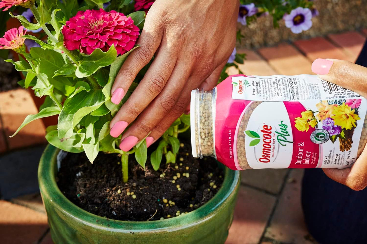 Osmocote Smart-Release Plant Food - Granular Fertilizer with 11 Essential Nutrients | 1 lb for Indoor & Outdoor Use
