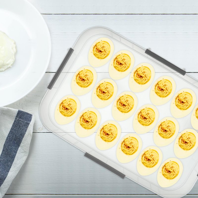 FMOACEN 2-Layer Deviled Egg Containers with Lid, 36 Slots Deviled Egg Tray Carrier with Lid Clear Eggs Storage Box Portable Egg Holder Platter with Handle for Easter Party Home Kitchen Supplies