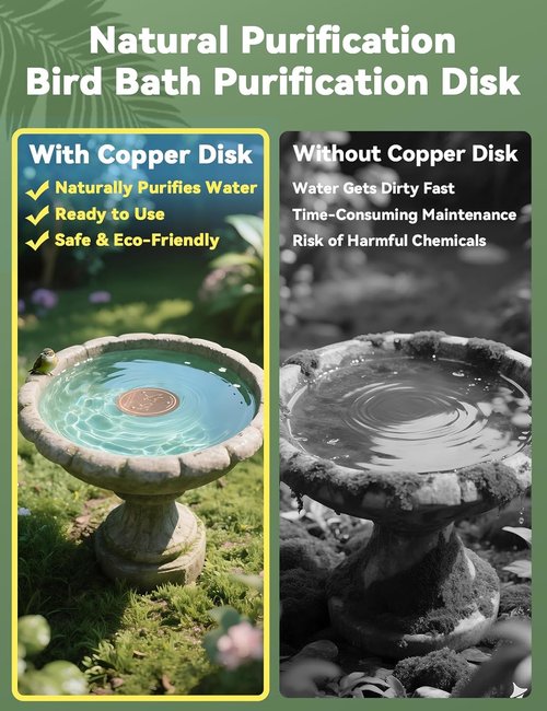 CNARIO Copper Disk for Bird Baths - 99.99% Pure Copper Cleaning Solution, 0.6mm Thick, All-Season Use
