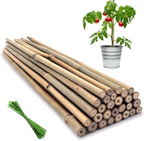 BOVITRO 12-Inch Natural Bamboo Plant Support Stakes - 20 Pcs for Tomatoes, Beans & Potted Plants