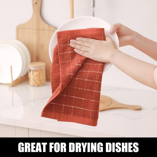 Homaxy 100% Cotton Terry Kitchen Dish Cloths, Ultra Soft and Absorbent Dish Towels for Kitchen, Suitable for Drying and Washing Dishes, 8 Pack, 12 x 12 Inches, Rust