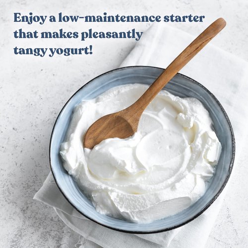 Cultures for Health Traditional Yogurt Starter Culture | 4 Packets Direct-Set Thermophilic Starter | Make Up To 12 Cups Thick, Tangy Probiotic Yogurt | Powdered Live Active Cultures for Yogurt Making