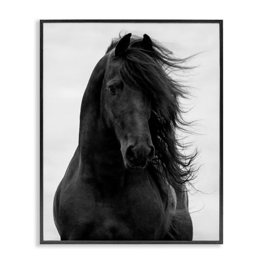 Stupell Industries 'Black Stallion Horse Portrait', Framed Giclee Art, Black, 11 x 14 Inches, Easy to Hang and Sturdy, Made in USA, by Carol Walker