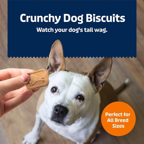 Blue Buffalo Health Bars - Crunchy Dog Biscuits with Natural Ingredients | Pumpkin & Cinnamon, 16 oz Bag