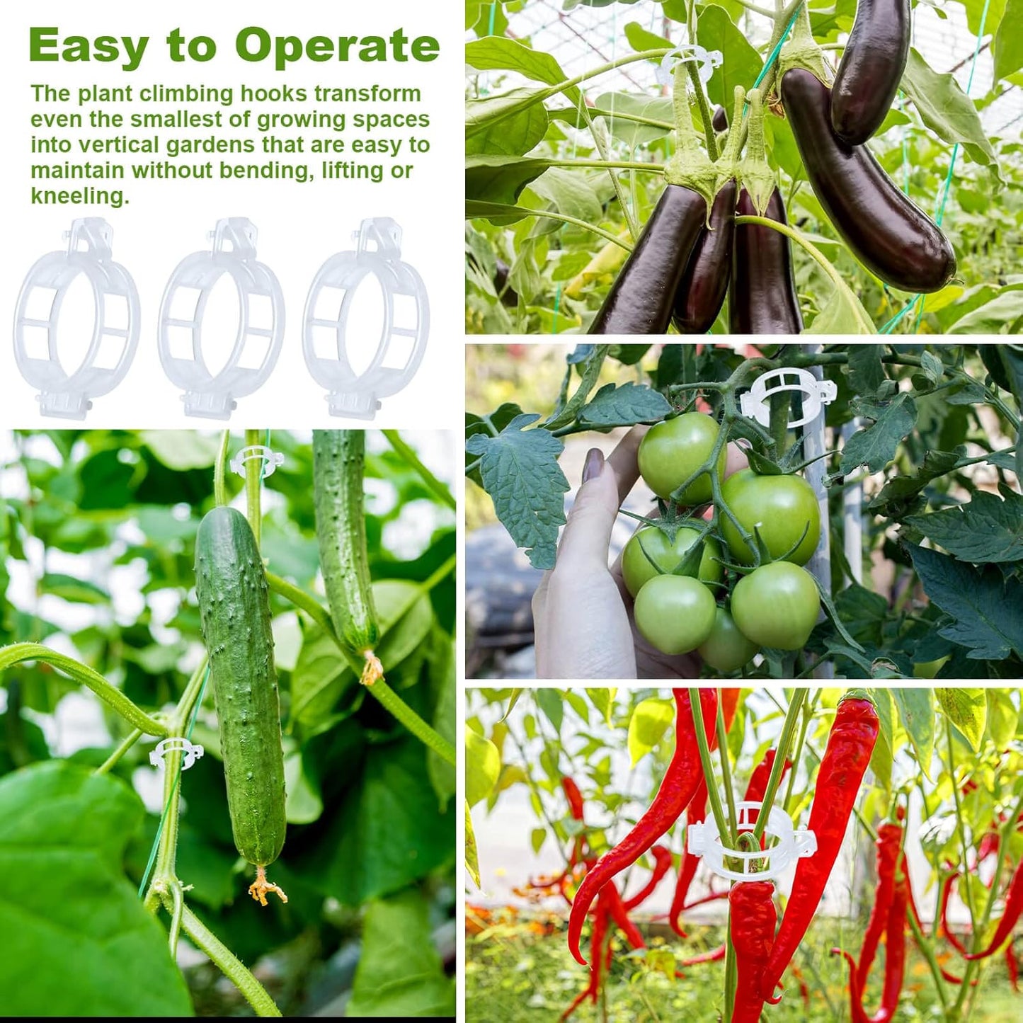 Skiennix Tomato Support Hooks - 30Pcs Plant Holder Clips with 33.3ft Twine for Secure Growth