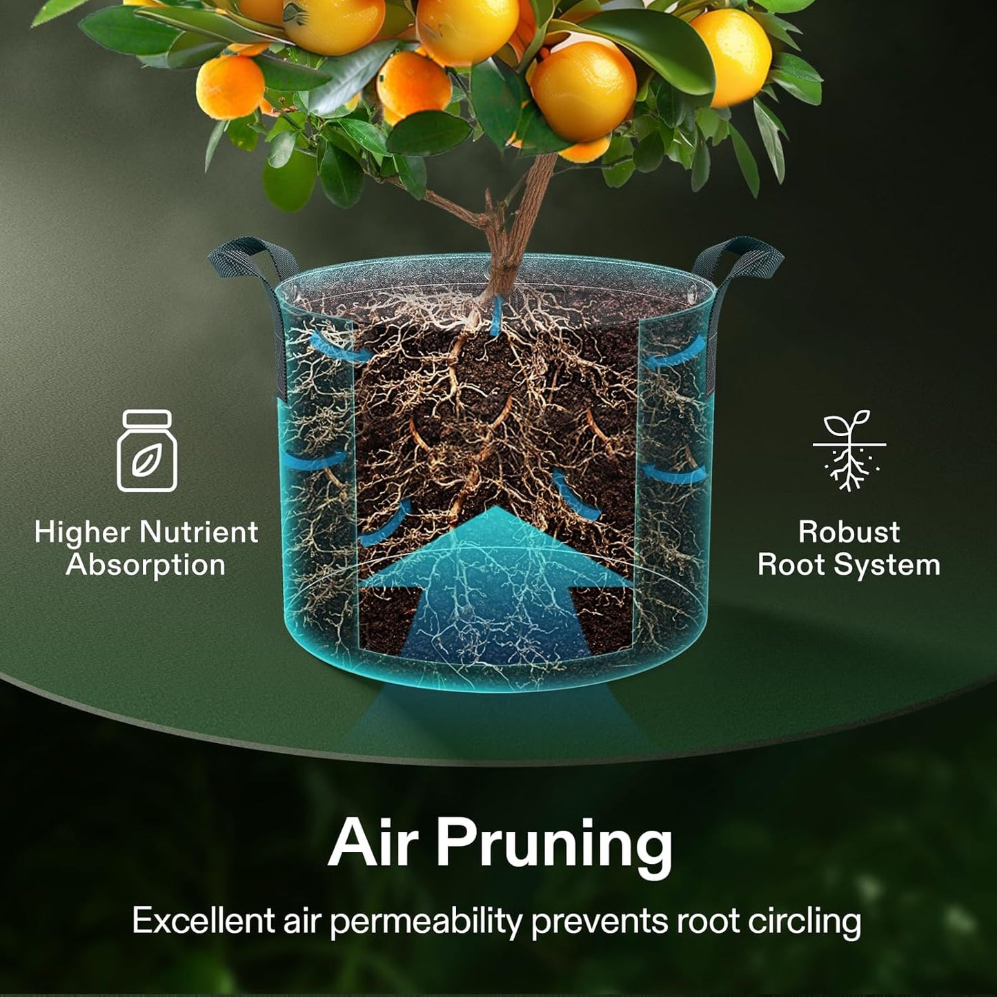VIVOSUN 3 Gallon Grow Bags - 5-Pack Thick Nonwoven Fabric Pots with Handles for Plant Training