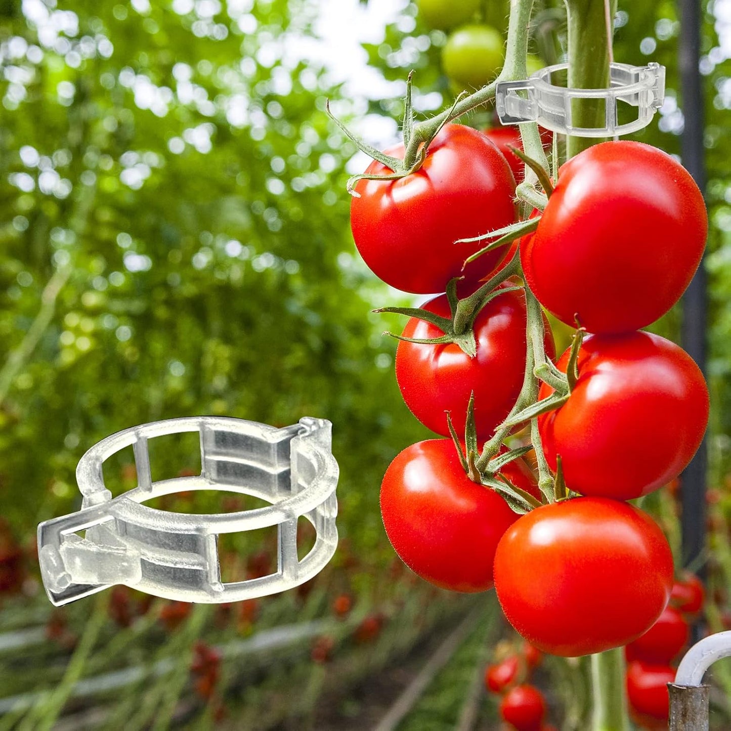 Piteno® Tomato Clips - 300 Pcs Plastic Trellis Support for Healthy Garden Growth | Ideal for Vegetables & Vines