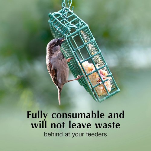C&S Insect Delight Suet Cakes - No Melt Formula for Wild Birds | 11.75 Ounces, Pack of 8