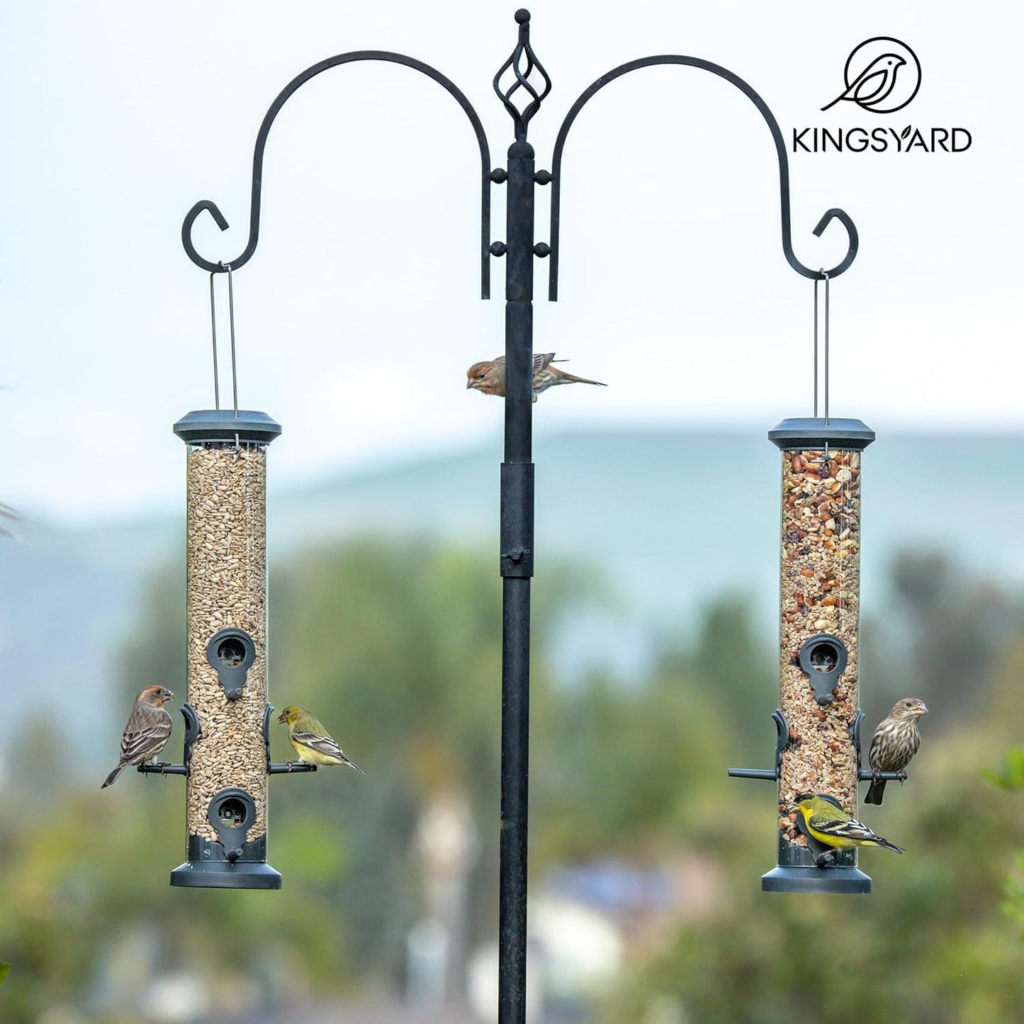 Kingsyard Tube Feeders - 2 Pack with 6 Feeding Ports | Premium Weatherproof Hard Plastic & Steel Hanger for Wild Birds (Black)