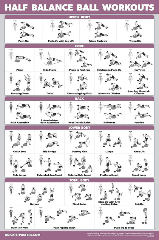 Palace Learning Half Balance Ball Workout Poster - Laminated Exercise Chart (18" x 24")