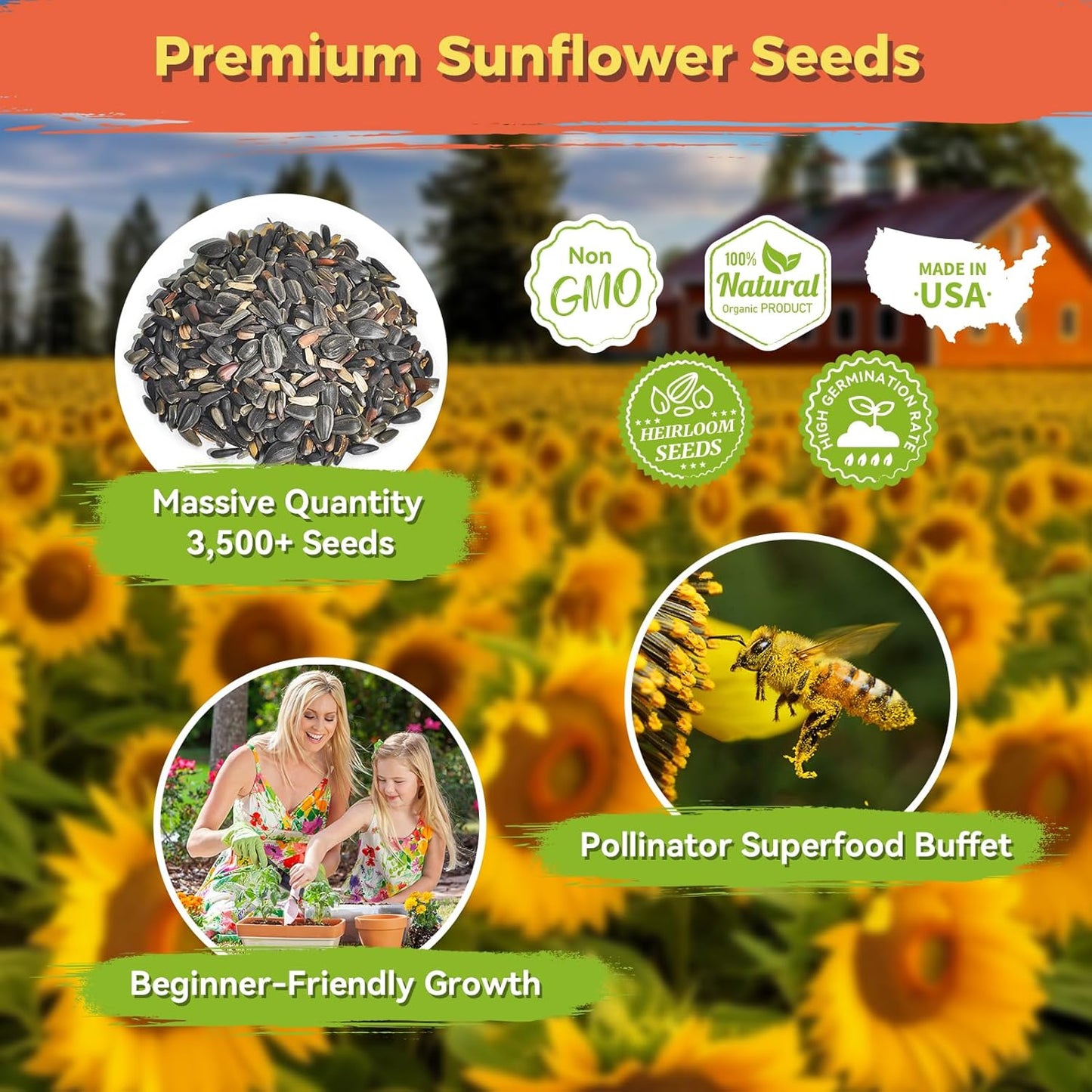 Sunflower Seeds - Giant Mammoth Heirloom Bulk Packet | 3000+ High Germination Seeds for Home Garden