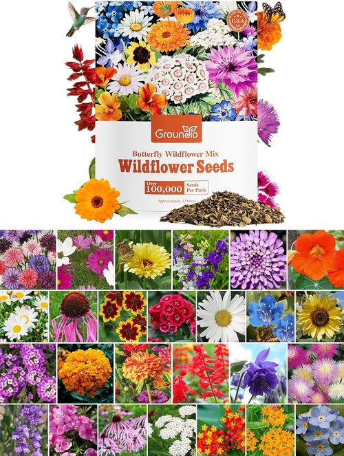 Groundio Wildflower Seeds - 100,000+ Bulk Seeds | 26 Variety Mix to Attract Pollinators - 1/4 lb