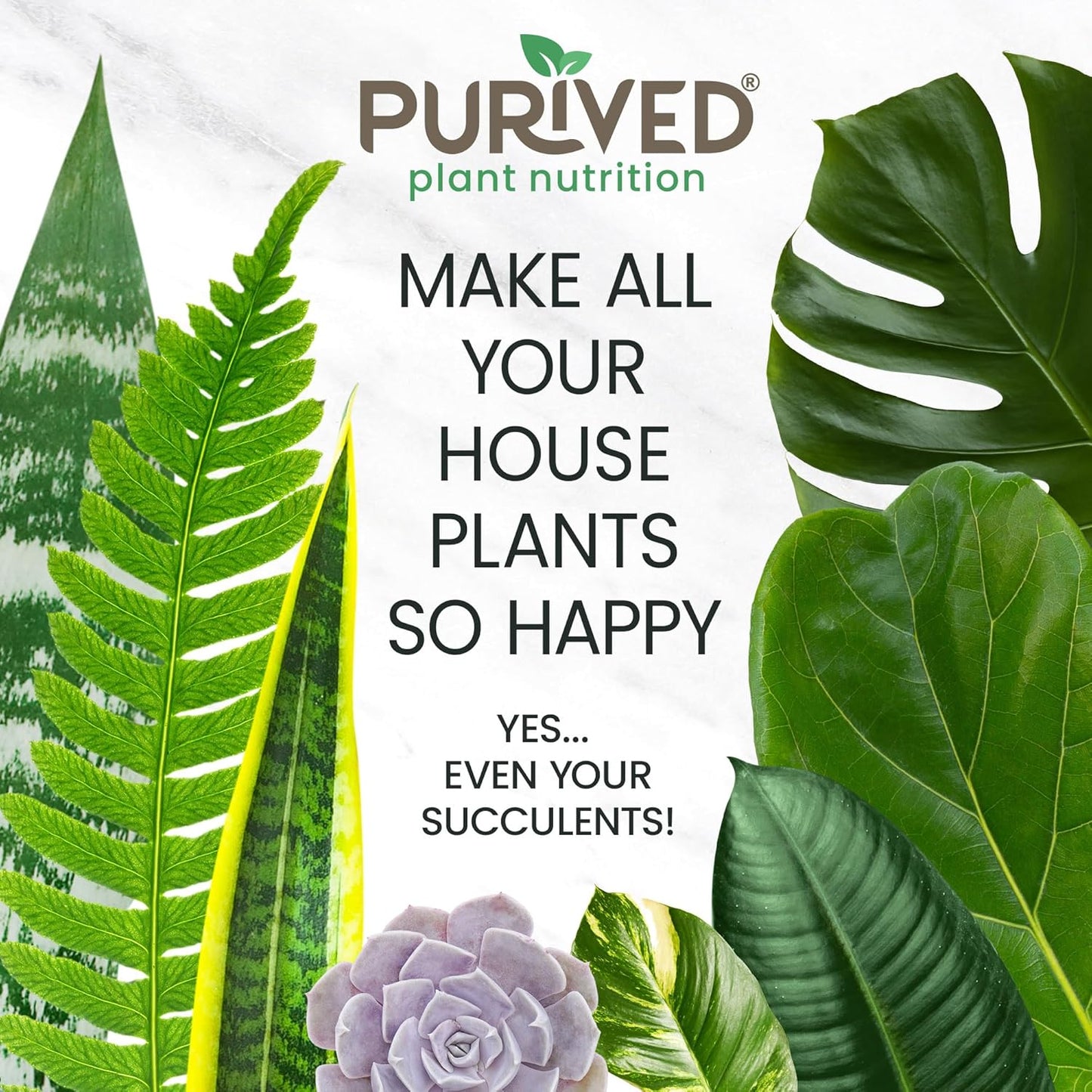 Purived All-Purpose Liquid Plant Fertilizer - Makes 50 Gallons, All-Natural & Groundwater Safe, 16oz