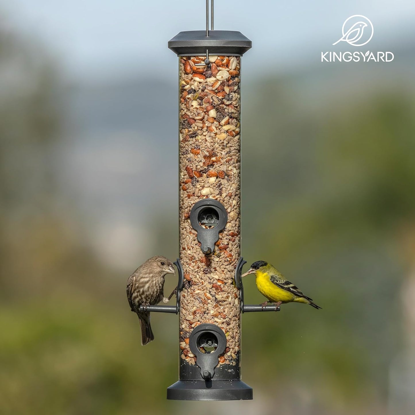 Kingsyard Tube Feeders - 2 Pack with 6 Feeding Ports | Premium Weatherproof Hard Plastic & Steel Hanger for Wild Birds (Black)