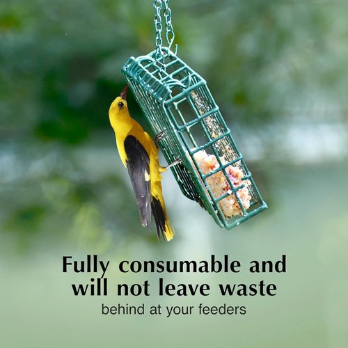 C&S Oriole Delight Suet Cakes - No Melt Formula for Wild Birds | 11.75 Ounces, Pack of 8