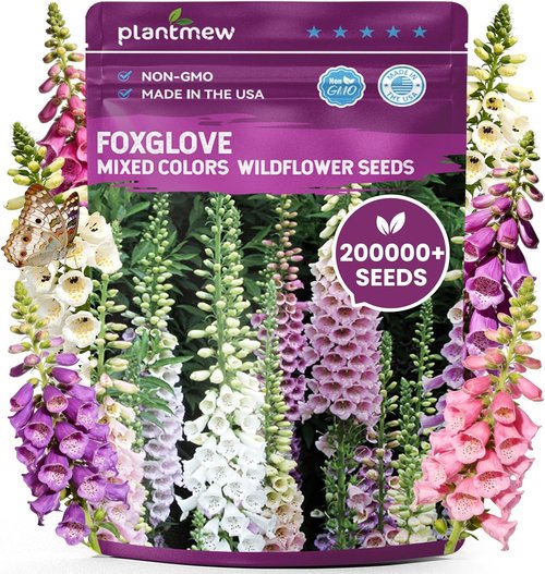 Foxglove Seeds - Perennial Mixed Colors | 200,000+ Seeds Bulk Pack for Easy Home Gardening & Hummingbird Attraction