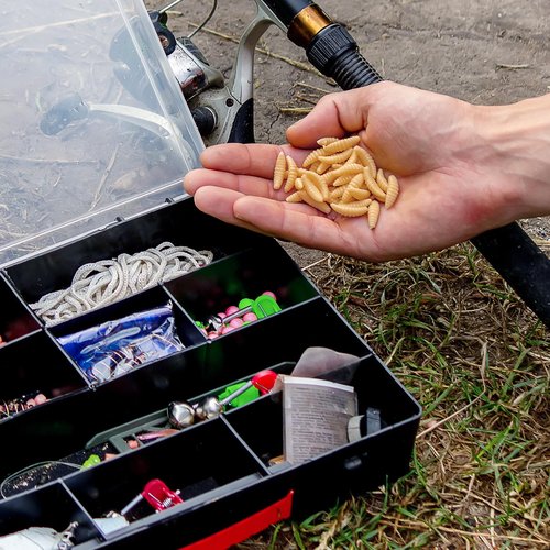 HINZIC 250Pcs Halloween Fake Worms, 20mm Soft Fishing Lure Plastic Maggots Baits Worm Realistic Wax Worm for Freshwater Ice Lure Fishing Bass
