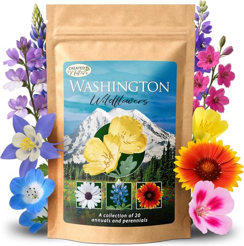 Created By Nature Wildflower Seed Mix - 20 Flower Varieties | 60,000+ Seeds for Vibrant Gardens