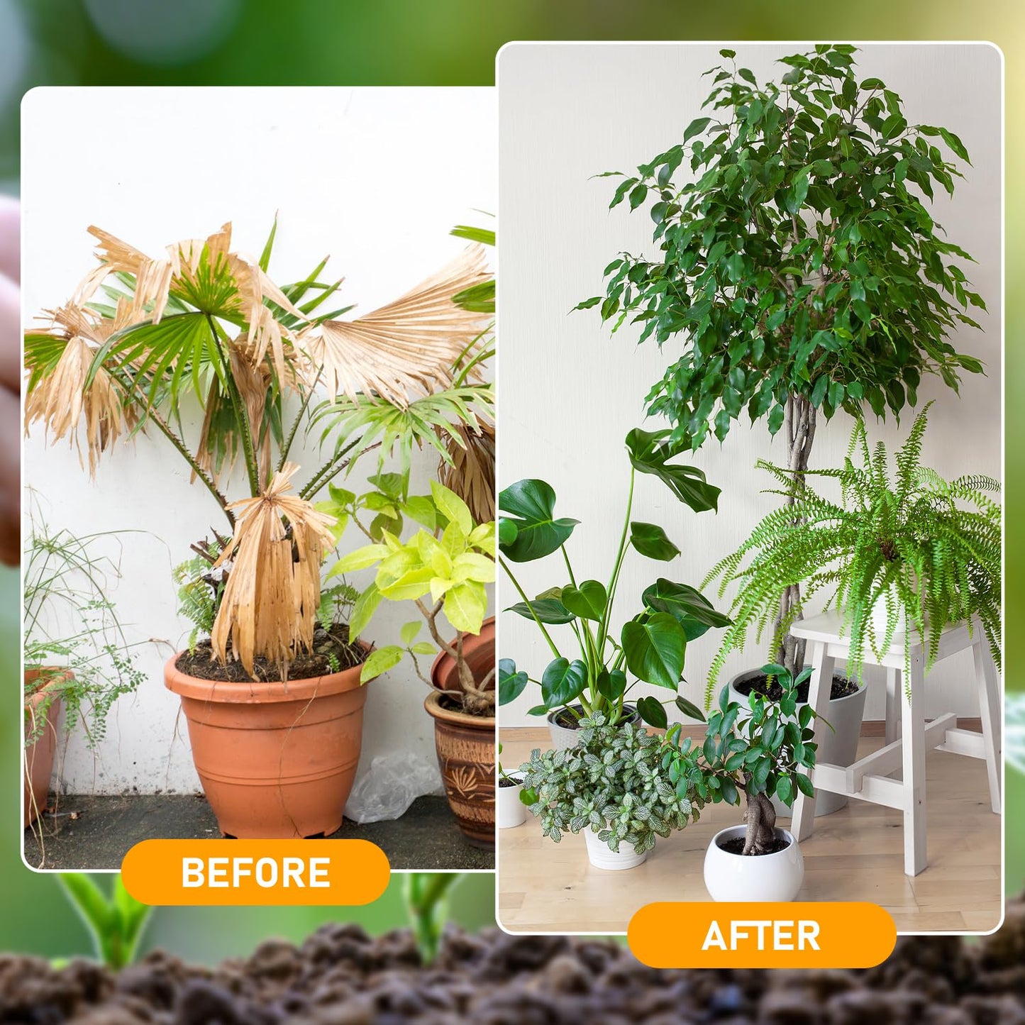 Organic Soil Activators by [Brand Name] - Water-Soluble Plant Fertilizers for Optimal Nutrient Uptake | 120g