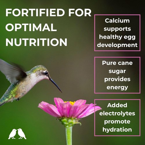 BIRDBROS Hummingbird Nectar Powder - All-Natural, Dye-Free Hummingbird Food | Easy Mix, 96 oz Made in USA