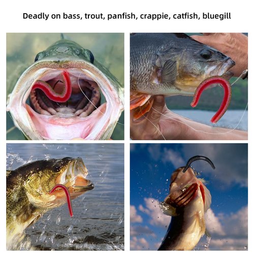 Bnqoe 30Pcs 4'' Wacky Worms Soft Fishing Lures Worm Soft Plastic Bass Baits Mixed Kit Plastic Worm Stick Baits for Freshwater Saltwater