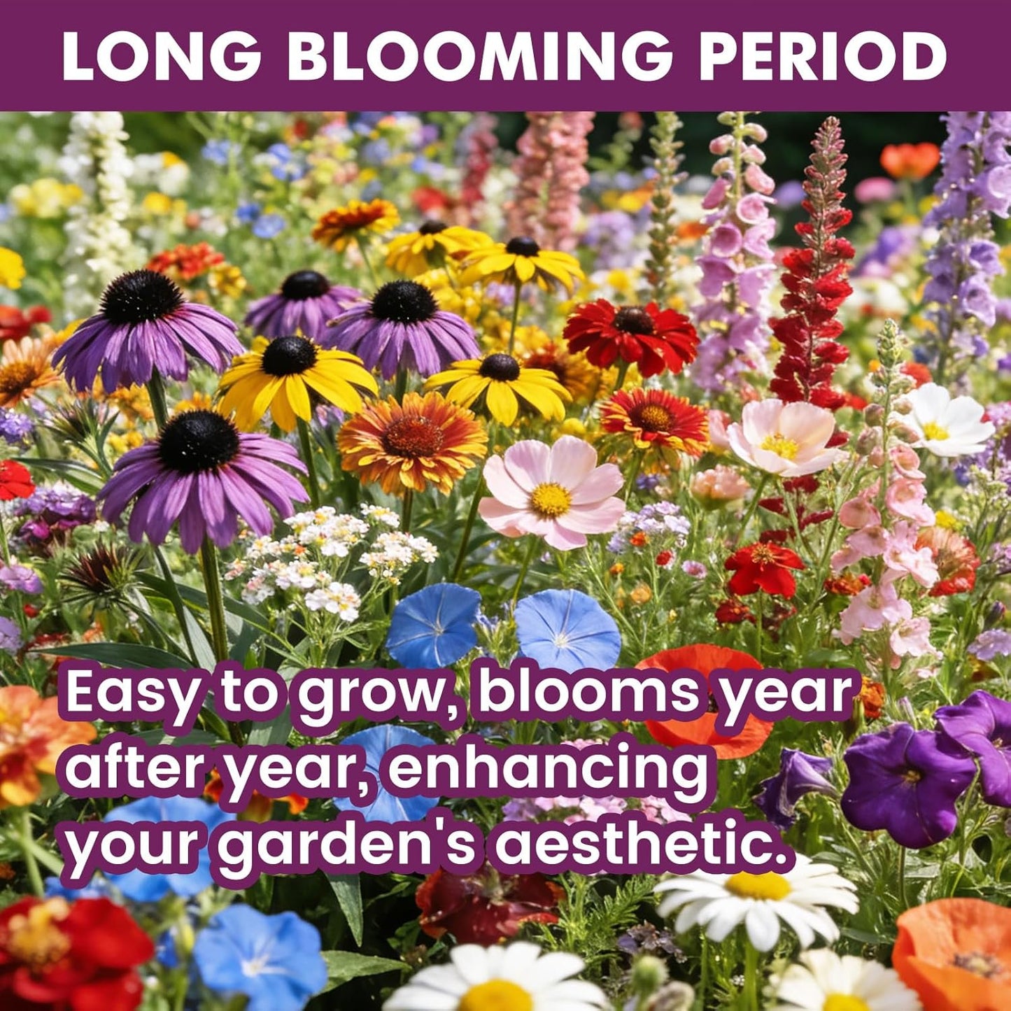 Wildflower Seeds | 10,000+ Bulk Butterfly & Hummingbird Mix | 21 Variety Heirloom Flower Seeds