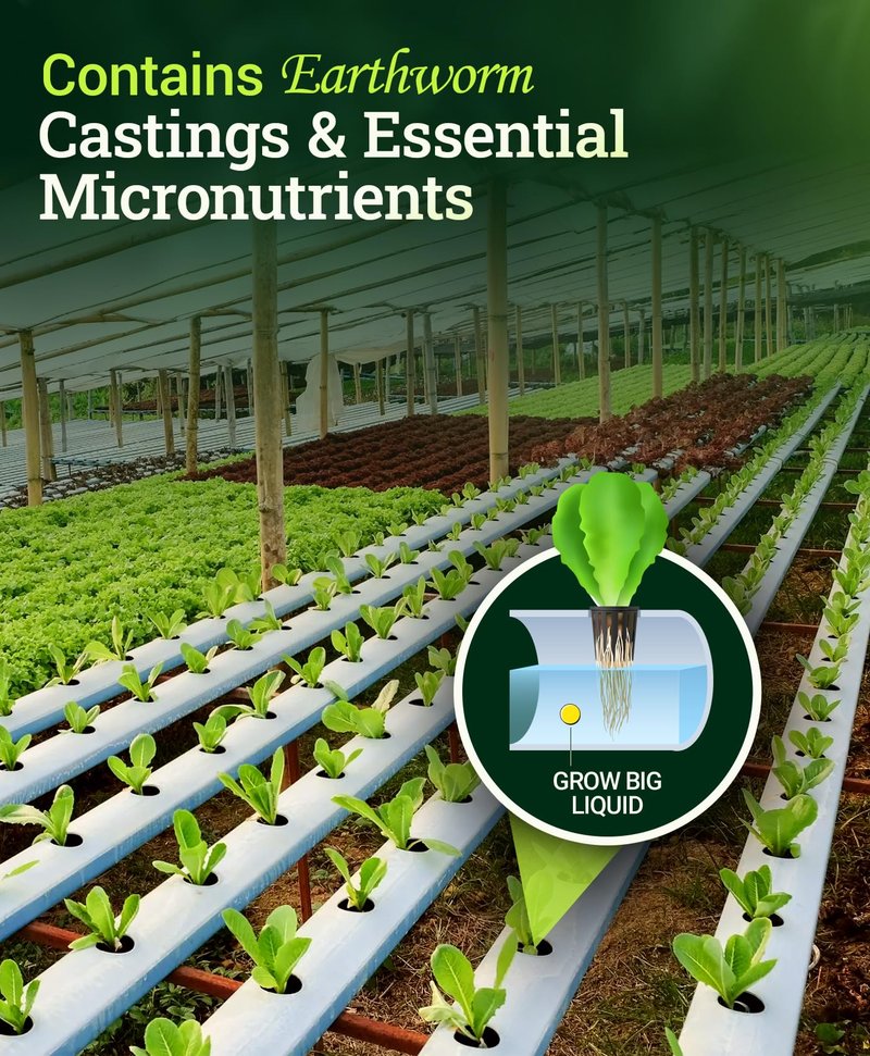 FoxFarm Grow Big Hydroponic Plant Food - 3-2-6 Liquid Plant Fertilizer for Lush Vegetative Growth in Hydroponic Systems - Liquid Concentrate with Earthworm Castings & Micronutrients - 1 Pint