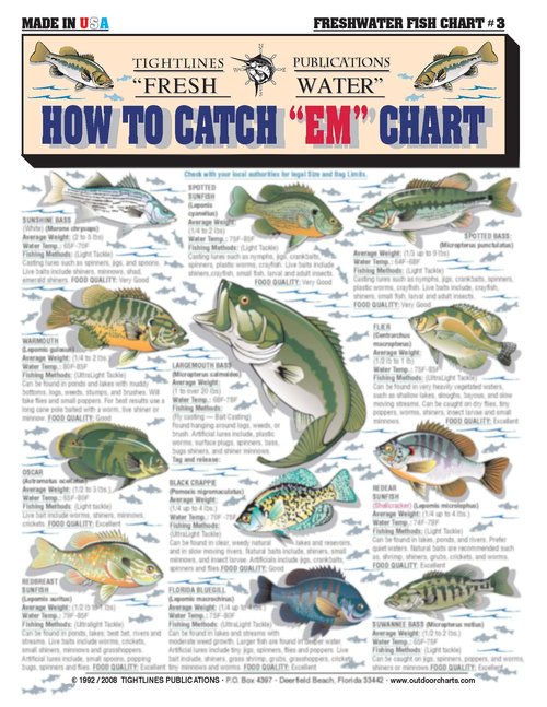 How to Catch'em Freshwater Fish Identification #3 - Waterproof Quick Reference Guide | Portable & Built to Last | Double-Sided & Easy to Read | (Weight, Water Temp, Fishing Methods, and Food Quality)