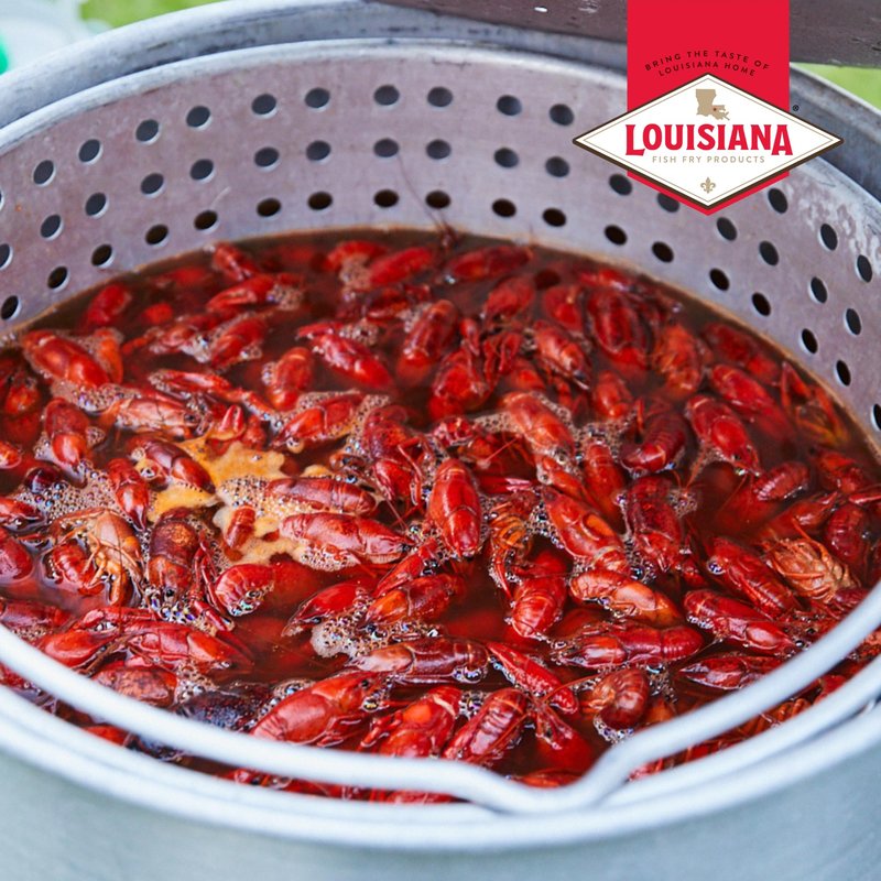 Herbal Overload Boil Booster - Seafood Boil Enhancer - Crab, Shrimp, Crawfish Seasonings, Boil Enhancer Cajun Seasoning 8 oz. (Pack of 1) By Louisiana Fish Fry