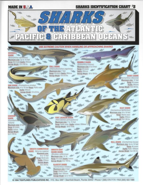 Fishermen's Saltwater Fish Identification Set - Waterproof Quick Reference Guide | Portable & Built to Last | Double-Sided & Easy to Read