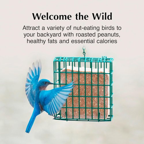 C&S Peanut Butter Delight Suet Cakes - No Melt Formula for Wild Birds | 8 Pack for Wrens, Cardinals & More