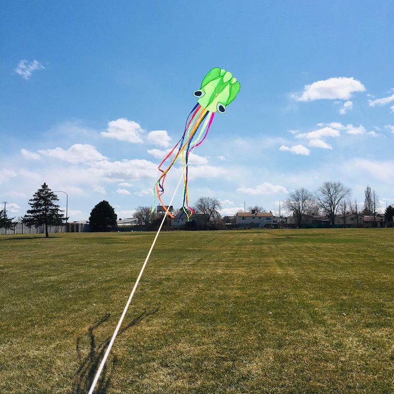 Flying Hoofer Large Octopus Kites(2packs) for Kids and Adults - Easy to Fly, 28X158 3D Software Colorful Kite with Long Tails. Perfect for Beach and Outdoor Activities (Red & Blue).