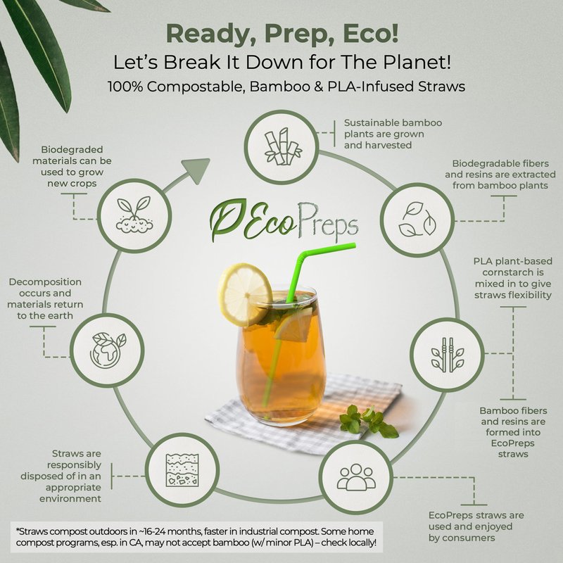 EcoPreps Colorful Biodegradable Flexible Drinking Straws | Bendable 150 Count, 100% Compostable, Plastic-Free, Eco-Friendly Straws for Cold Drinks | 7.8'' Multi-Color Bamboo Fiber Disposable Straw Set
