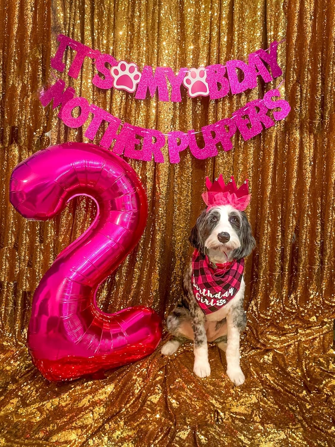Skiennix 40-Inch Rose Purple Number Balloons - Perfect for 2nd, 12th, 21st Birthday Celebrations & Events