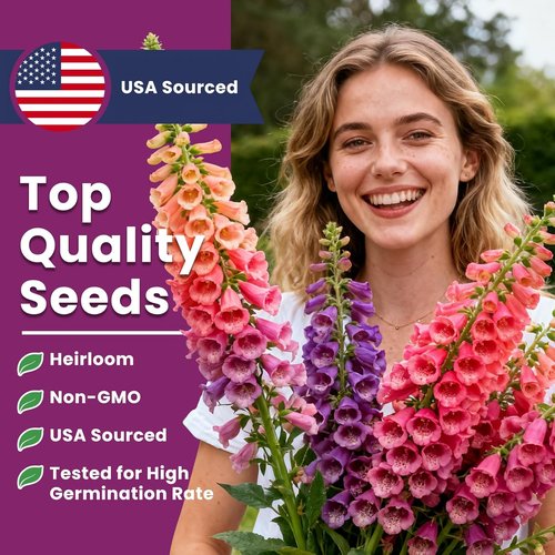 Foxglove Seeds - Perennial Mixed Colors | 200,000+ Seeds Bulk Pack for Easy Home Gardening & Hummingbird Attraction