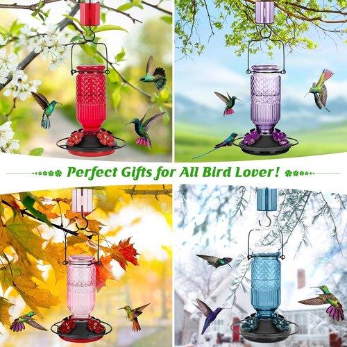 FEED GARDEN Glass Hummingbird Feeder - 16 oz Outdoor Feeder with Bee-Proof Ports & Easy Clean Design | Purple