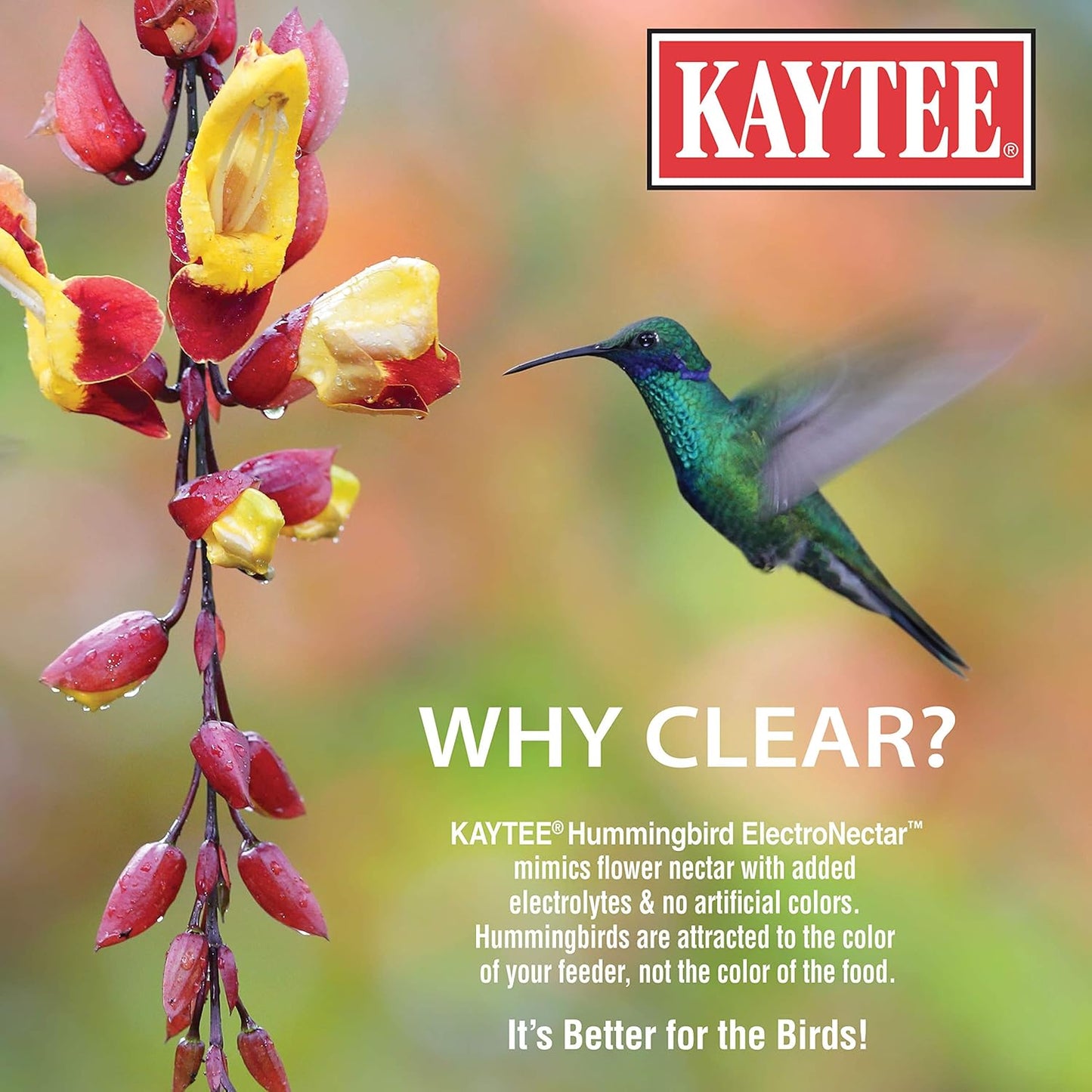 Kaytee Hummingbird ElectroNectar - Ready-to-Use Wild Bird Food, 64 Ounces of Nectar