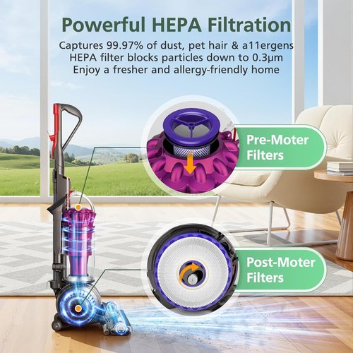 Dyson Replacement Filters - 2 Pack Post & Pre Filters for DC41, DC65, DC66, Animal 2 & 3 Vacuums