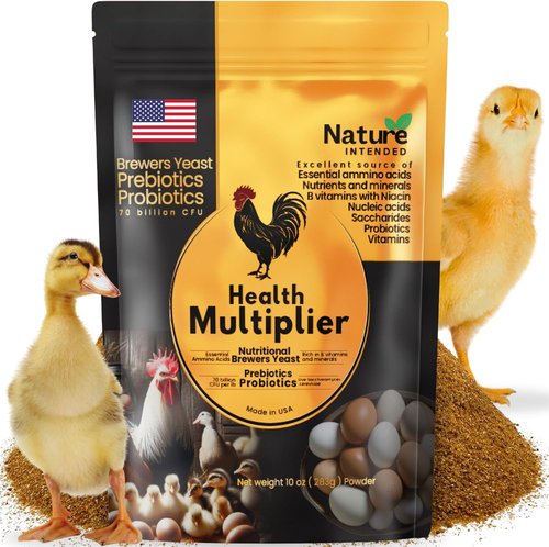Brewer's Yeast Probiotics Supplement - Enhance Egg Quality & Molt Recovery | 10-Ounce Pouch