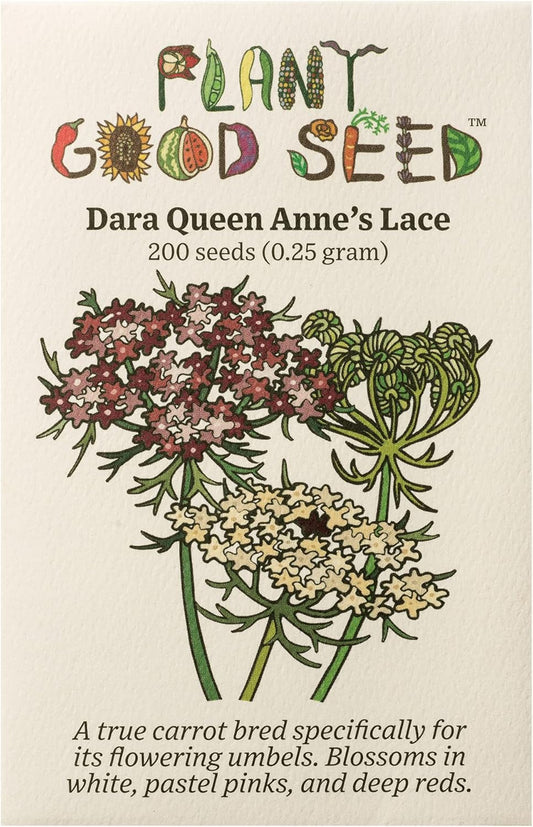 Plant Good Seed Organic Dara Queen Anne's Lace Flower Seeds - Heirloom Ammi in Red, Pink & White | 200 Seed Packet