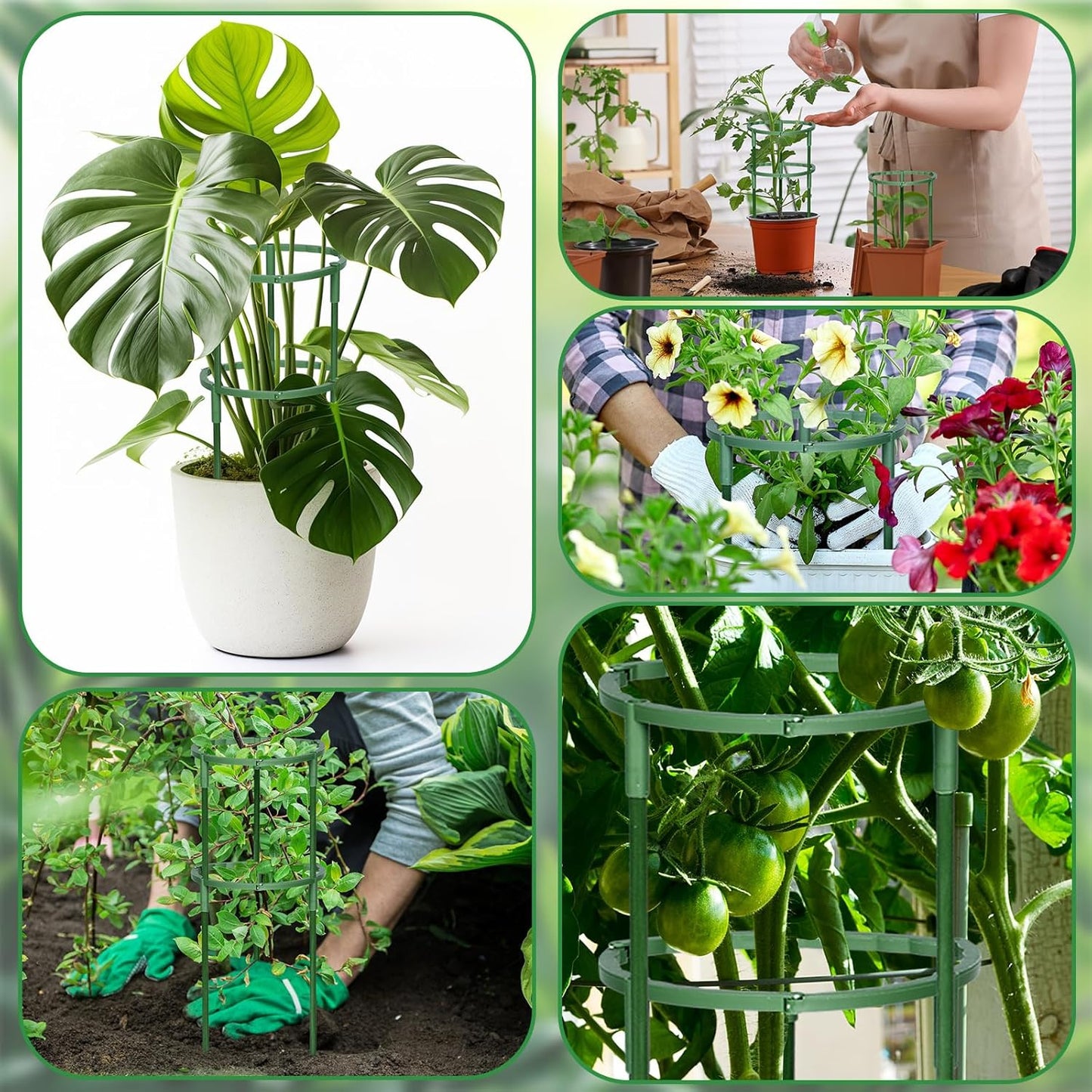Skiennix Plant Support Stakes - 48 Pcs Stackable Half Round Garden Supports for Climbing Plants | Ideal for Tomatoes, Monstera, Peonies