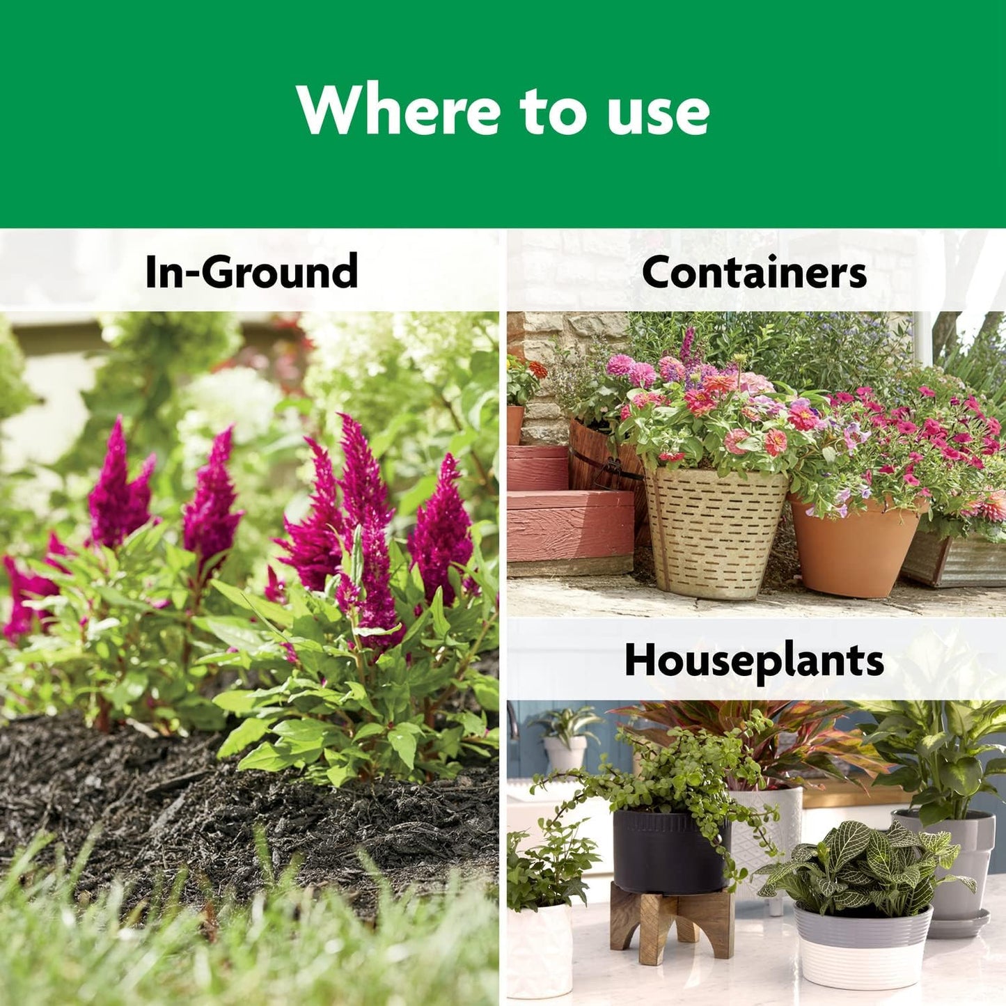 Miracle-Gro All Purpose Plant Food - Feeds Indoor & Outdoor Plants for 3 Months, 4.5 lbs (Pack of 6)