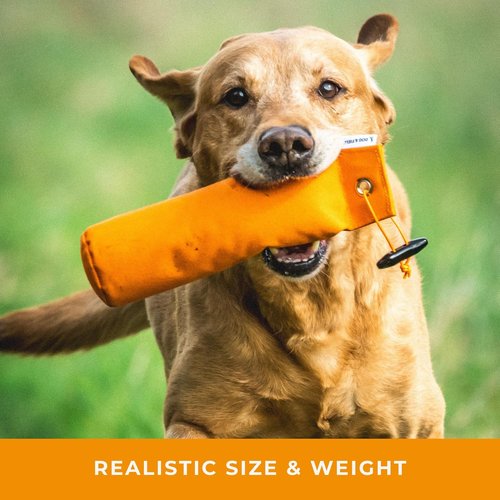 Dog Training Dummy - 1lb Canvas Bumper for Hunting & Puppy Training