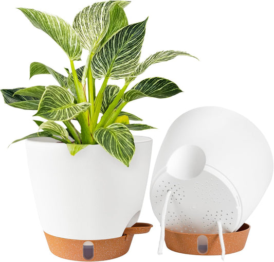 Skiennix 8-Inch Self-Watering Plant Pots - Durable Plastic with Drainage Holes & Water Level Indicator | White (2-Pack)