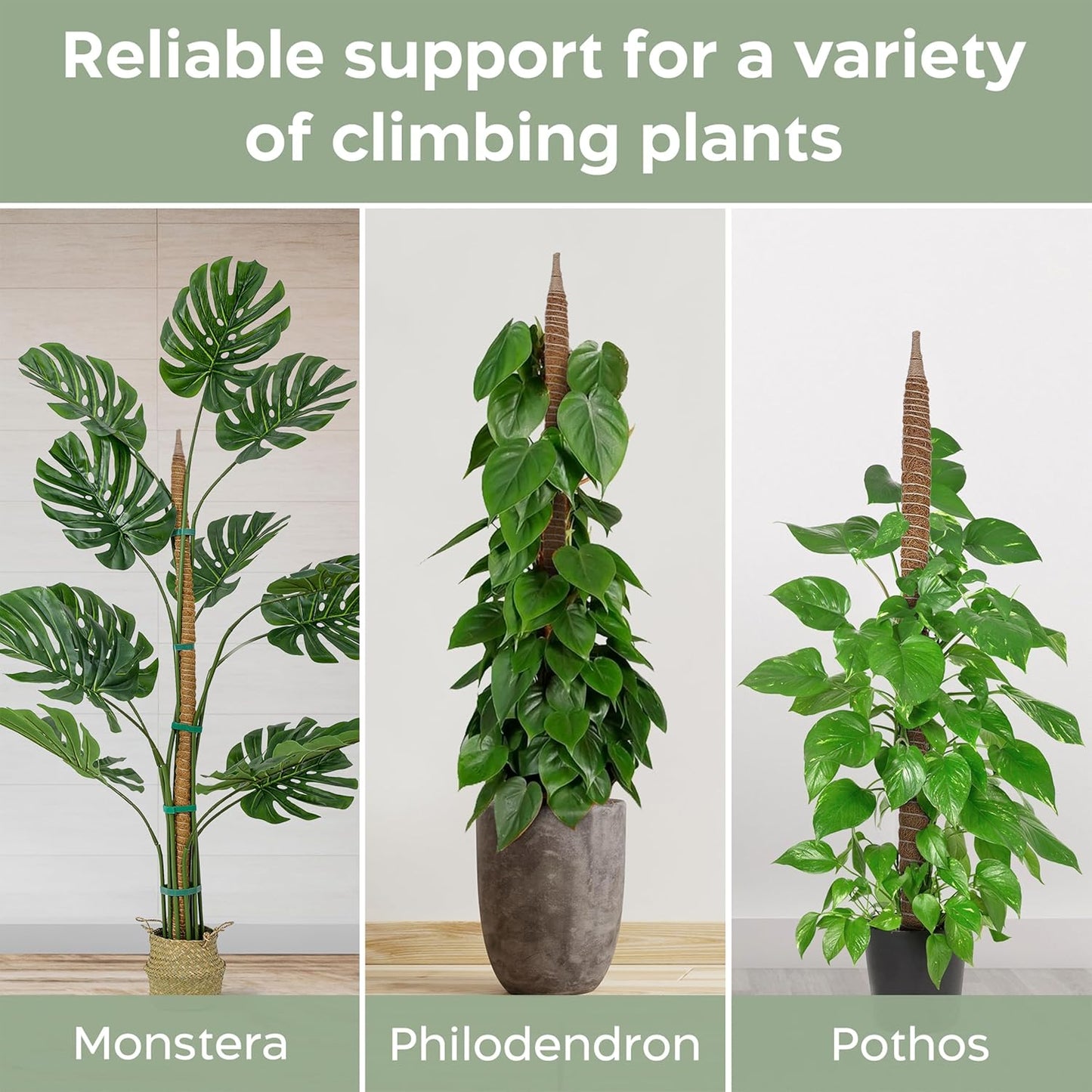 K-Brands 48'' Bendable Moss Pole - Durable Coconut Palm Fiber Plant Support for Monstera - Brown