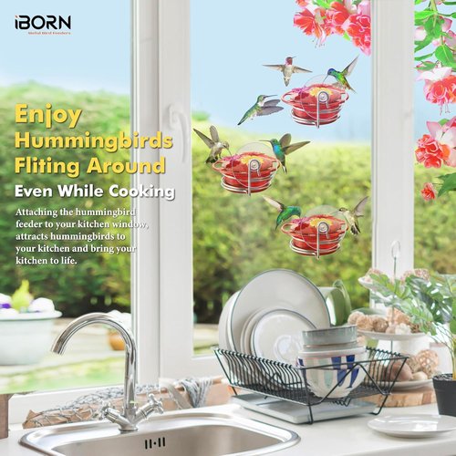 iBorn Mini Hummingbird Feeder - 3 Oz Outdoor Feeder with Strong Suction Cup & Stainless Steel Base | 3 Feeding Ports