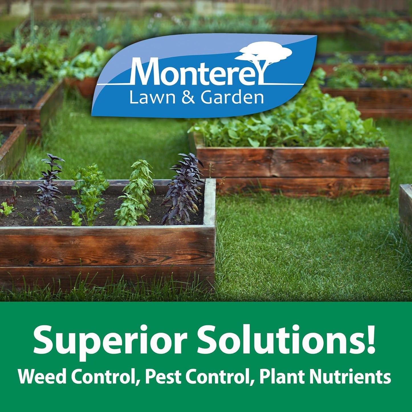 Monterey Spurge Power Herbicide Concentrate - Effective Post Emergent Control - 1 Pint